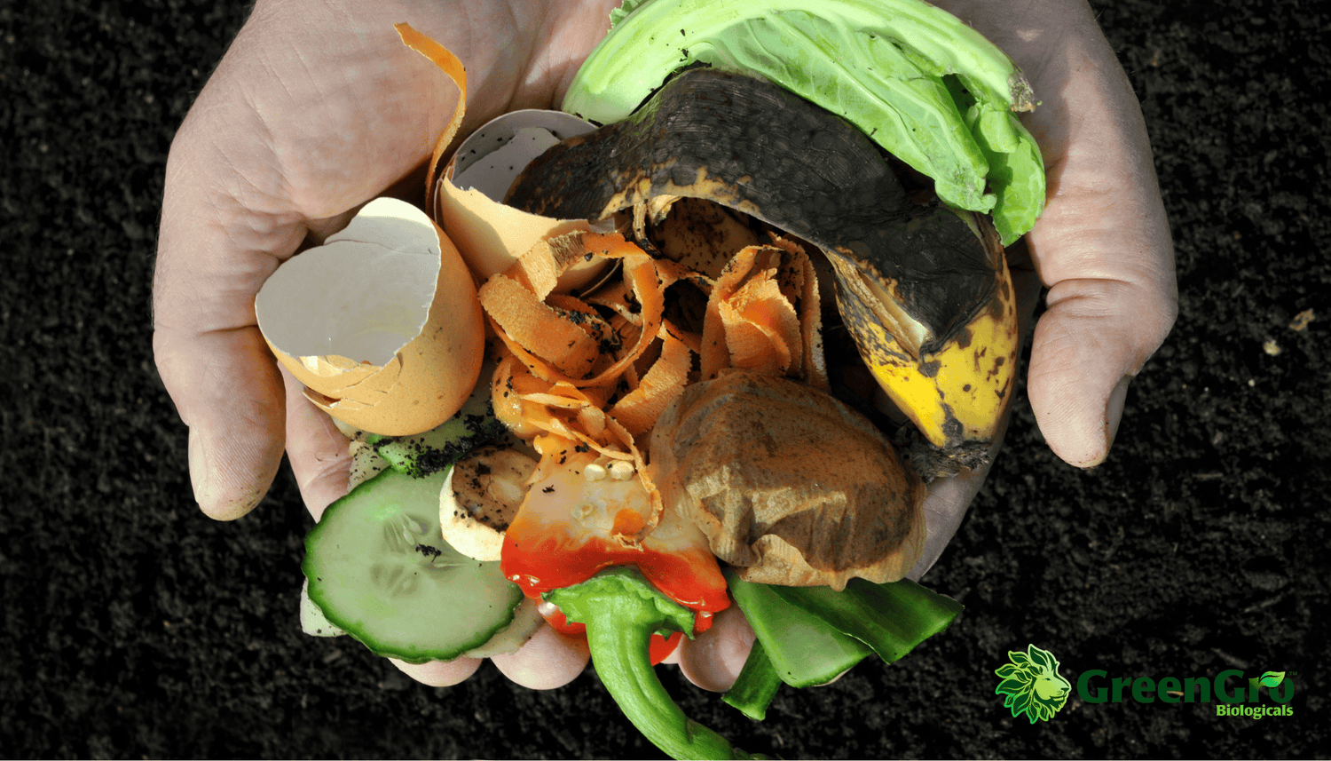 How to build a Compost bin at Home
