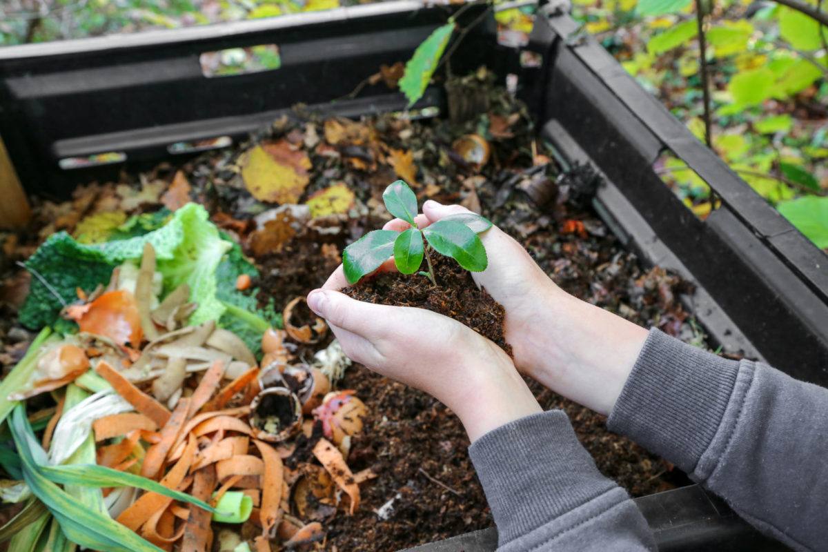 How to build a Compost bin at Home