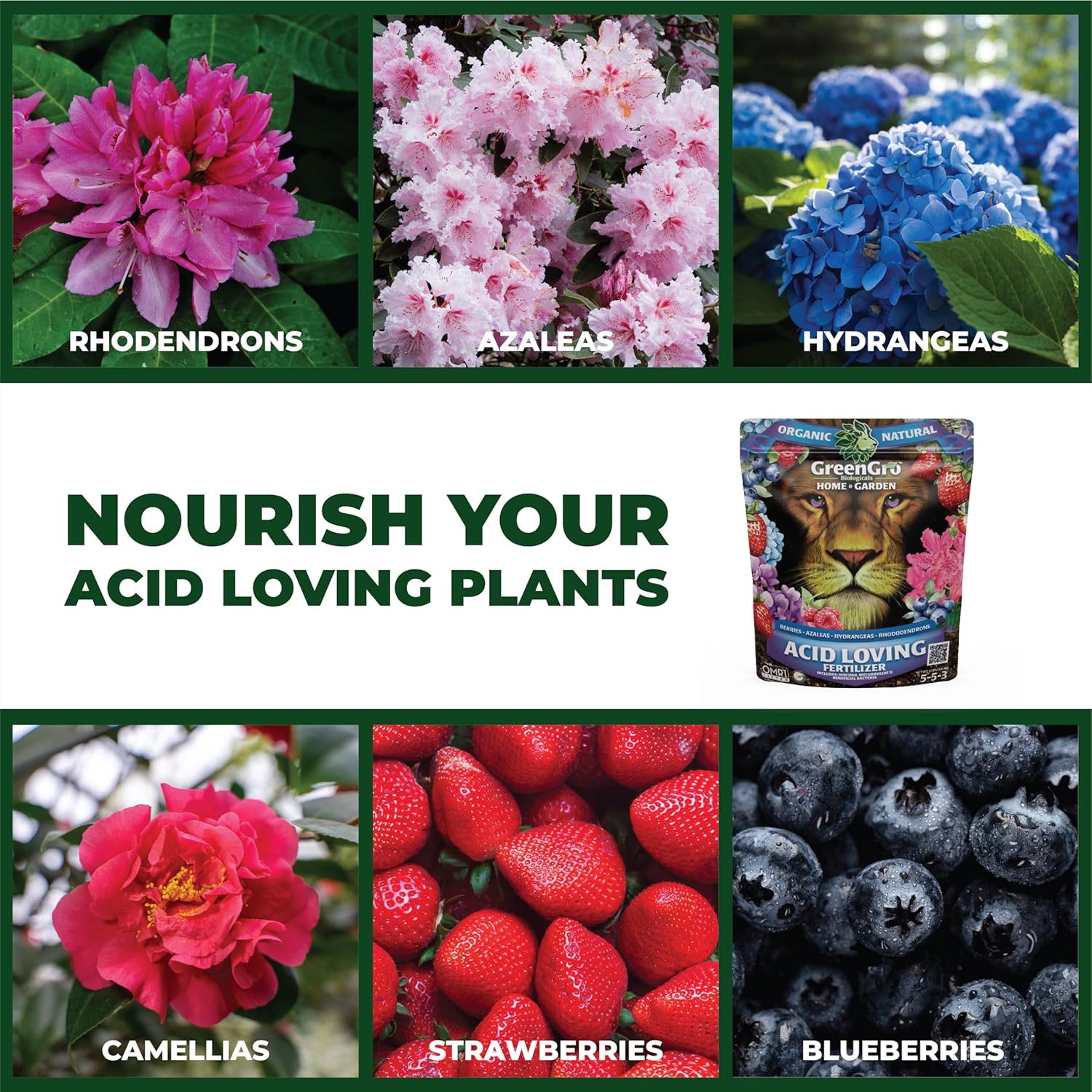 Acid-Loving Fertilizer