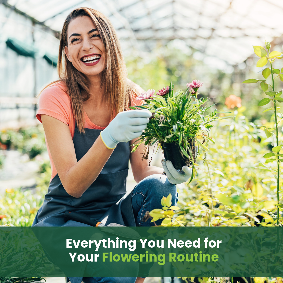 GreenGro AutoBox - Flowering & Finishing Nutrient Kit