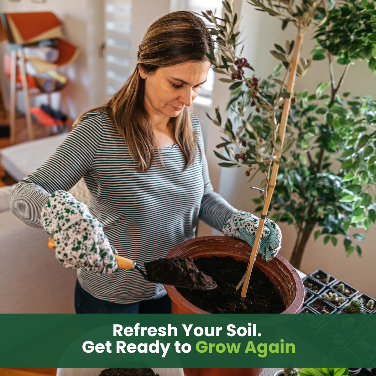 GreenGro Earthshine Biochar - Biochar Soil Amendment