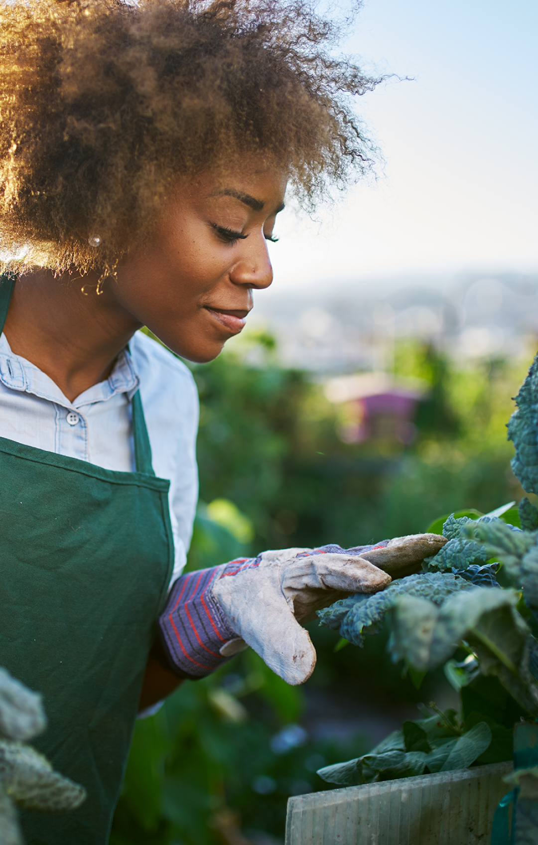 Woman over looking her Kale Garden