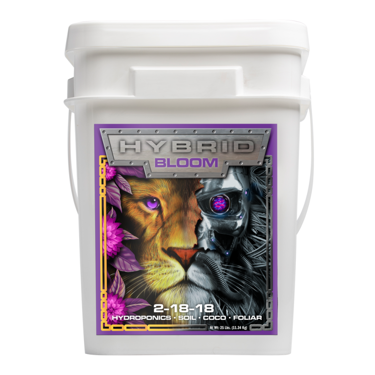 Hybrid Bloom