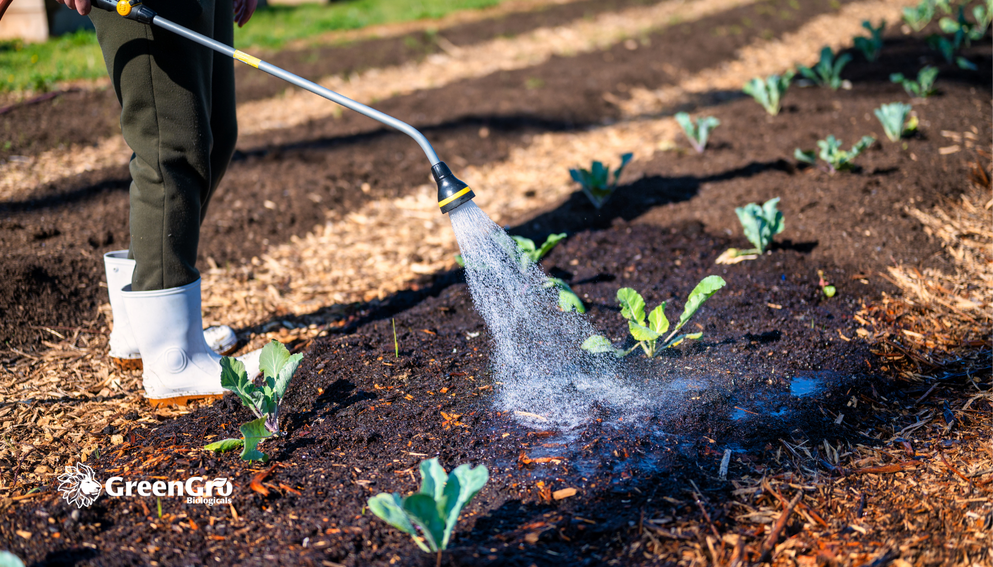 What’s Really in Your Garden Hose, And Why It Matters for Your Soil