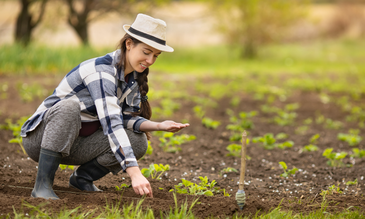 Your February Gardening Checklist: Get Ready for Spring