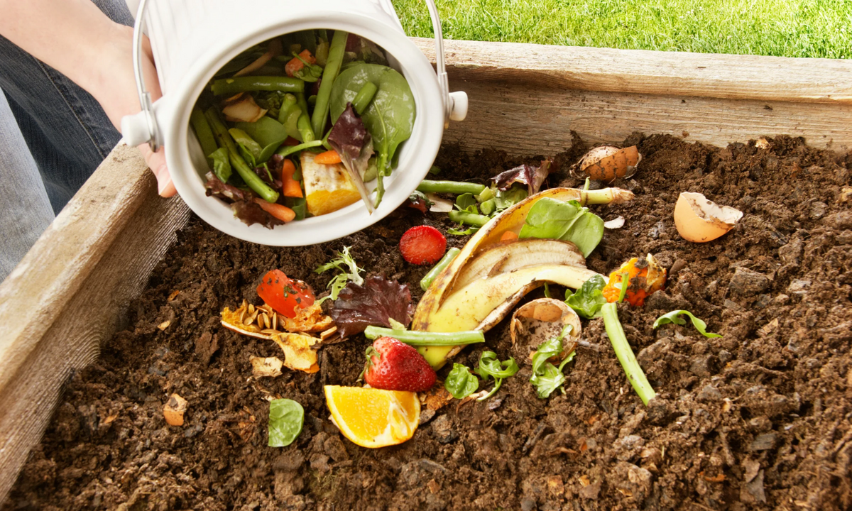 How to build a Compost bin at Home