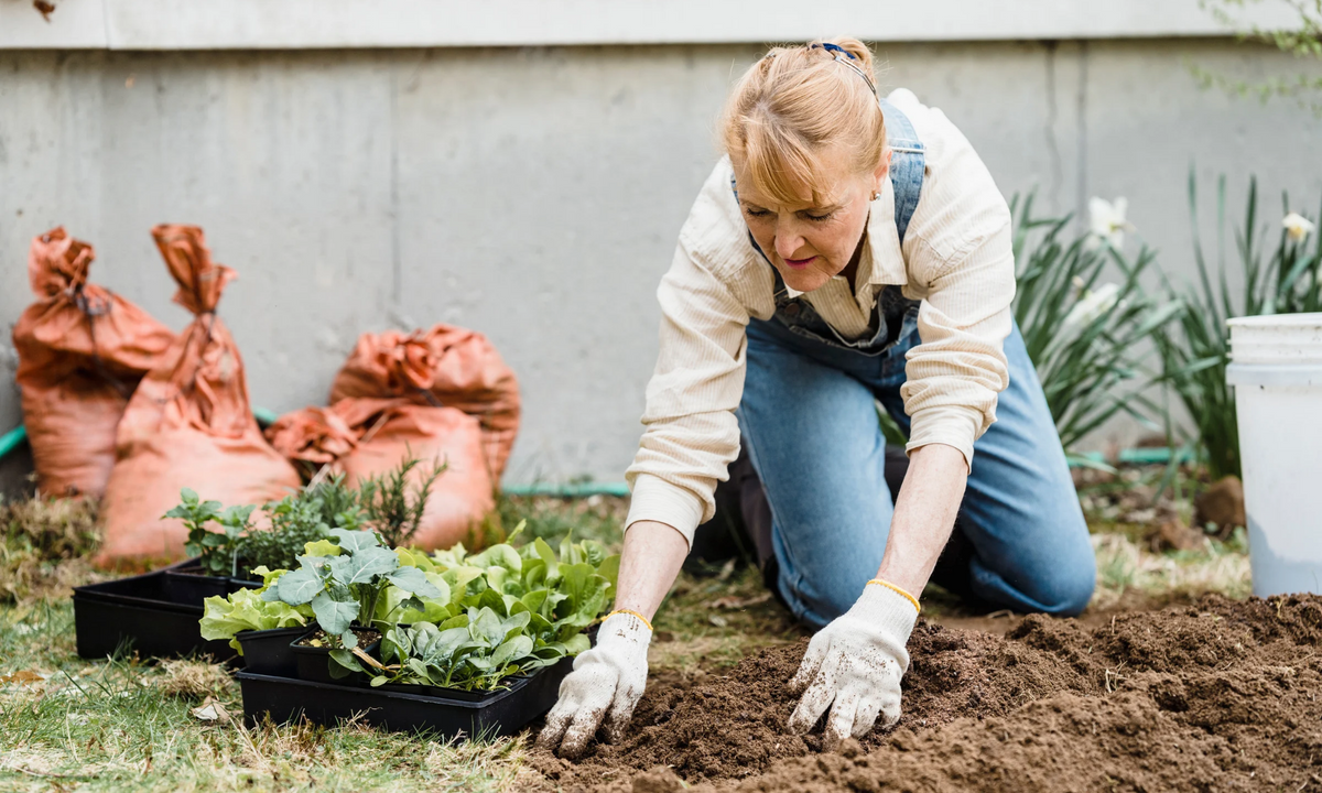 What to Plant in May for a Thriving Summer Garden