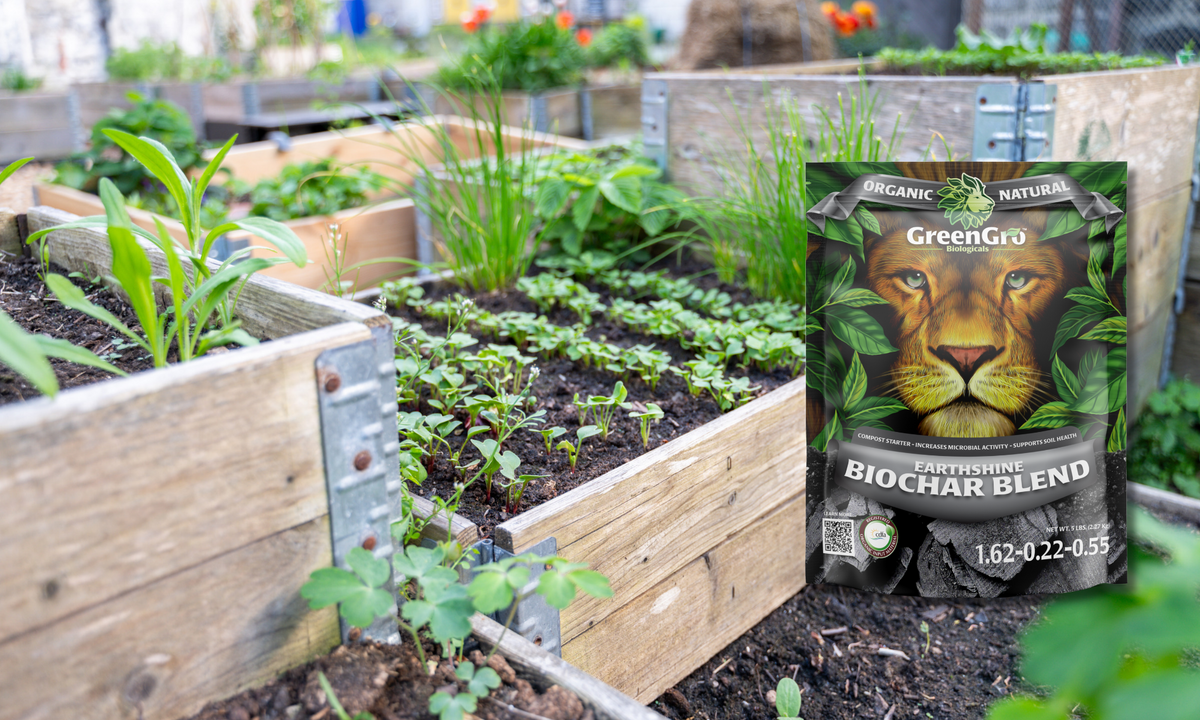 GreenGro Earthshine Biochar Blend: Understanding Biochar for Garden Soil