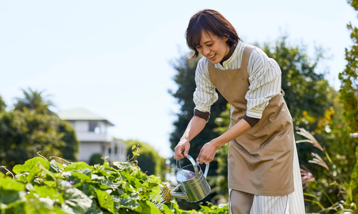 Summer Garden Care: How to Beat the Heat and Keep Plants Thriving