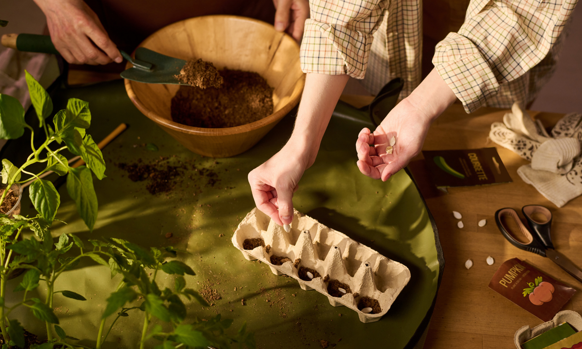 Seed Starting and Germination: A Step-by-Step Guide for Gardeners