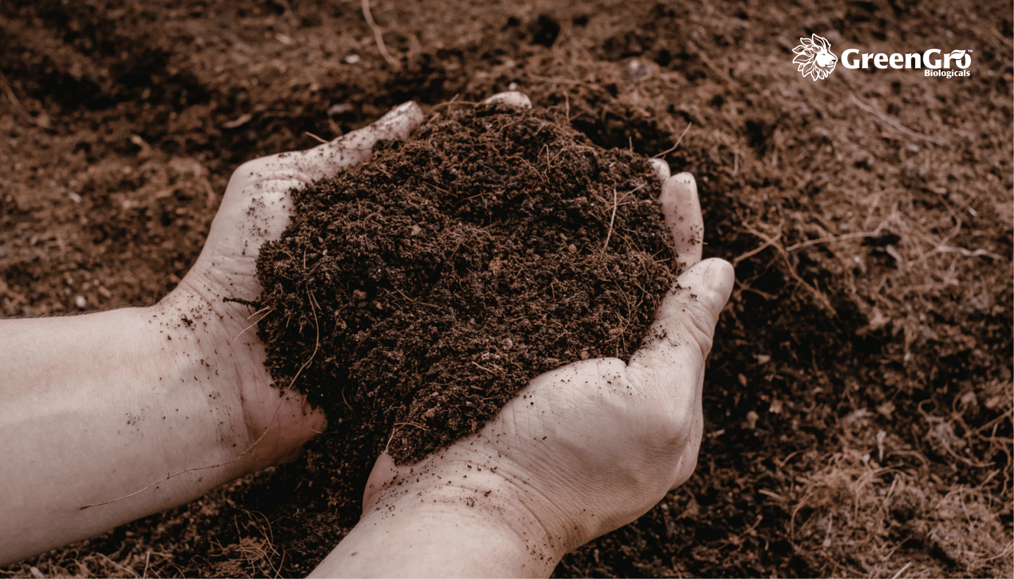 New Year, Better Soil: How to Set Your Garden Up for Success This Season