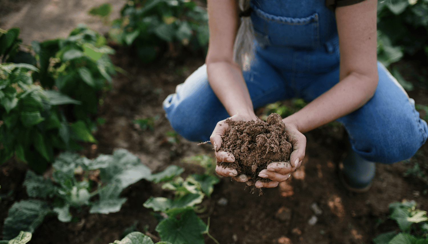Dive into Regenerative Gardening with GreenGro