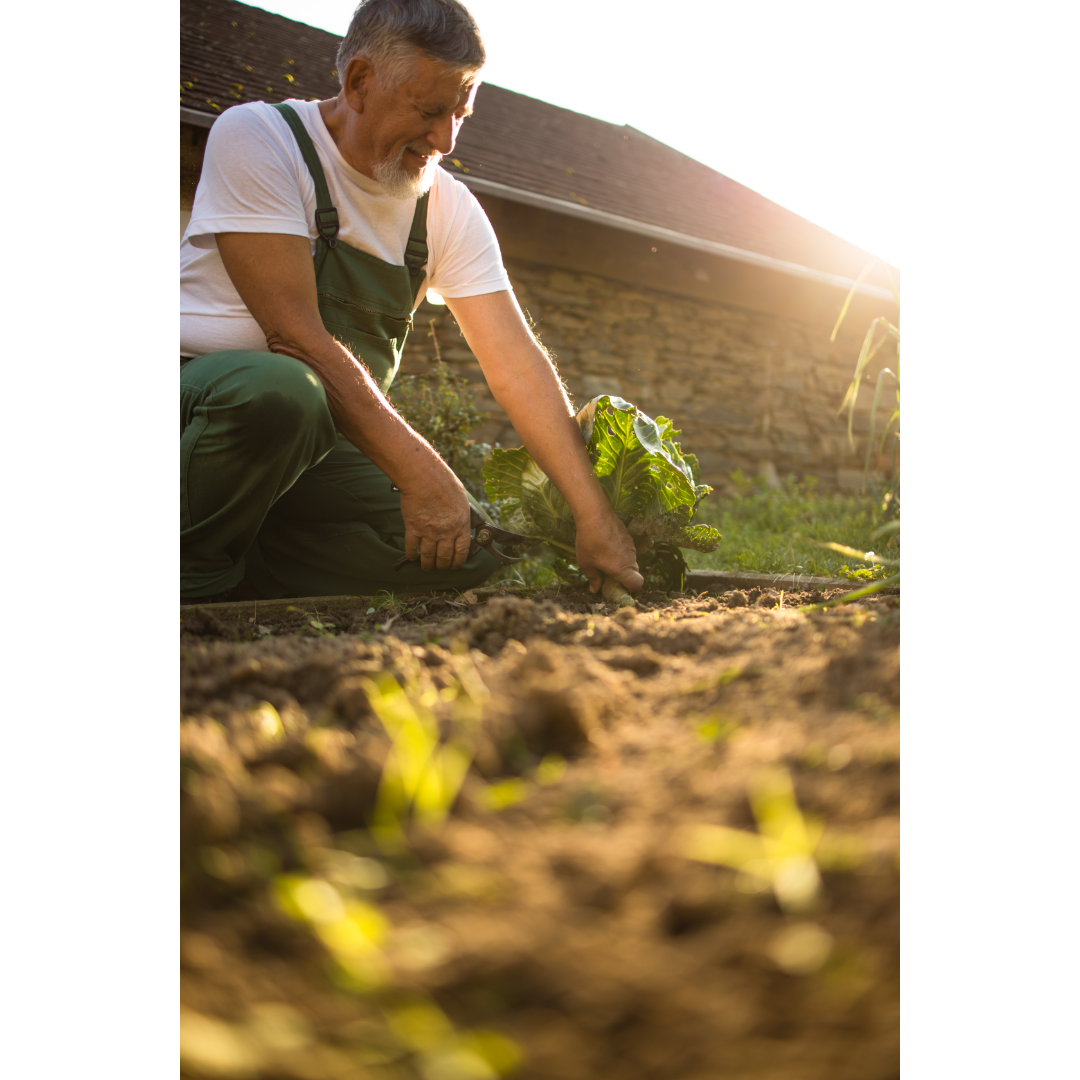 Dive into Regenerative Gardening with GreenGro