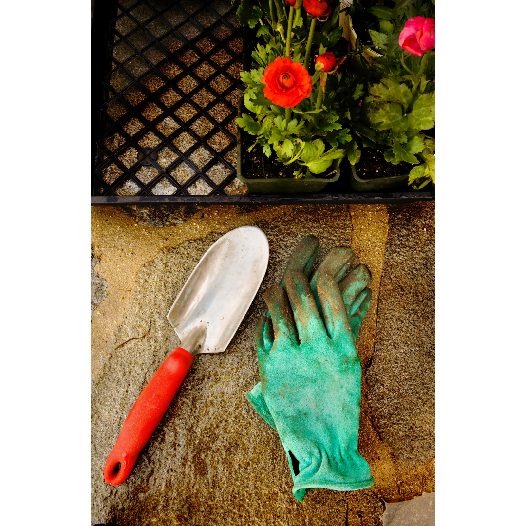 Spring Into Action: Revitalize Your Garden Beds with The GreenGro's Secret Trio!