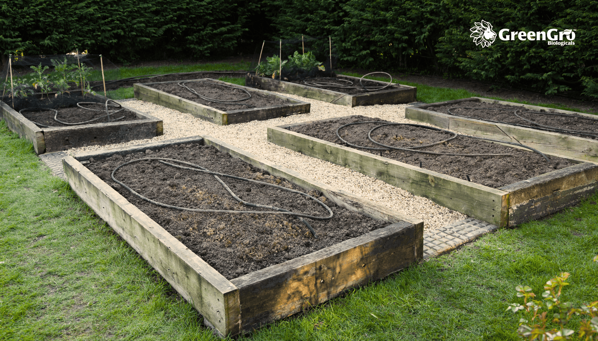 Preparing Your Garden Beds for Winter: A Regenerative Approach to Soil Health