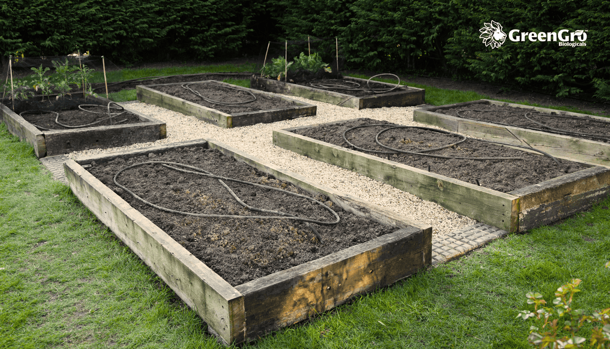 Preparing Your Garden Beds for Winter: A Regenerative Approach to Soil Health