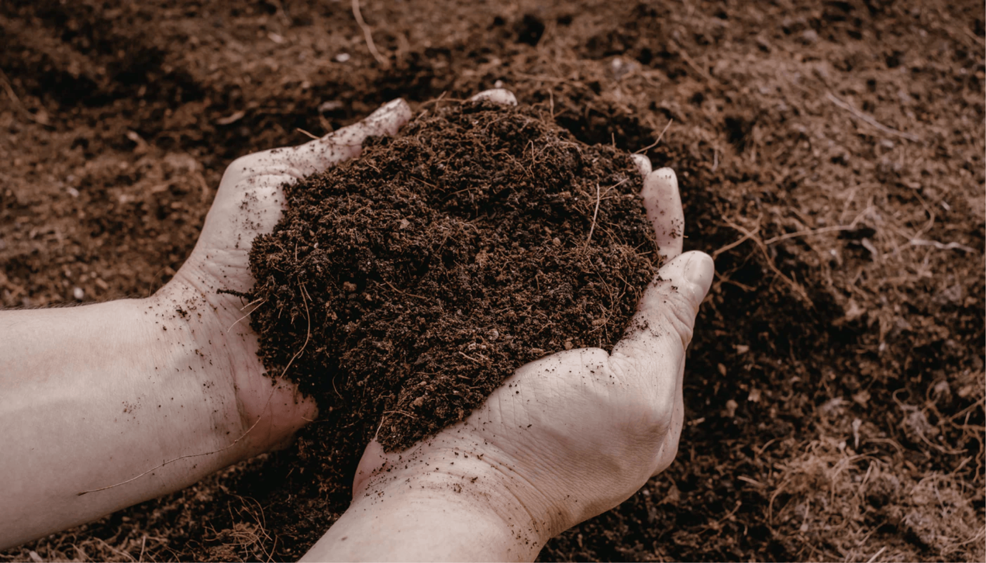 Soils