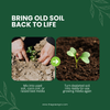 Earthshine Biochar