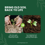 Earthshine Biochar