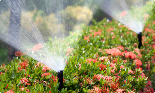 Irrigation