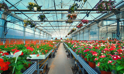 Greenhouses