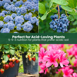 GreenGro Acid-Loving Fertilizer