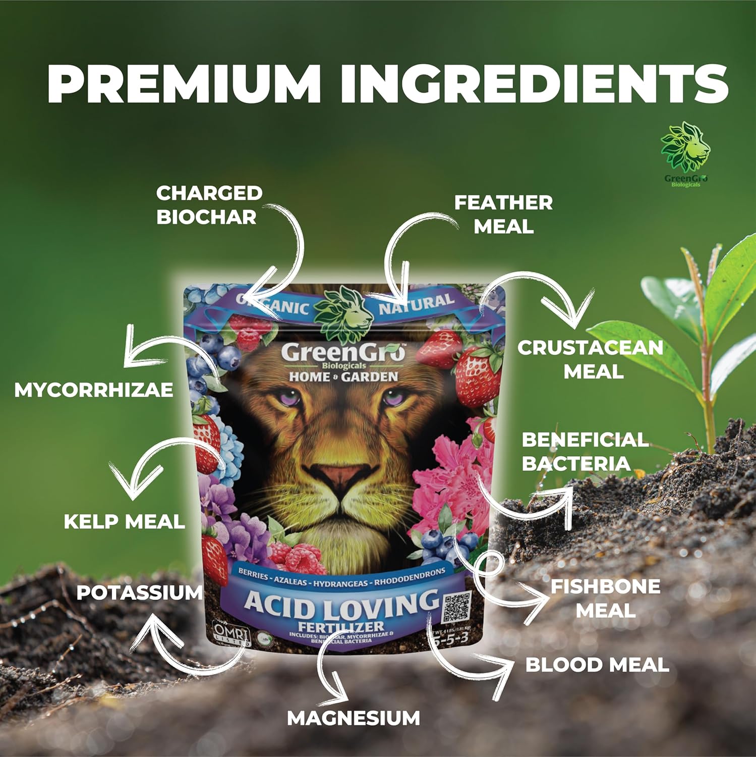 acid loving plants fertilizer GreenGro Biologicals Acid-Loving Fertilizer - 4lb