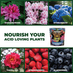Acid-Loving Fertilizer