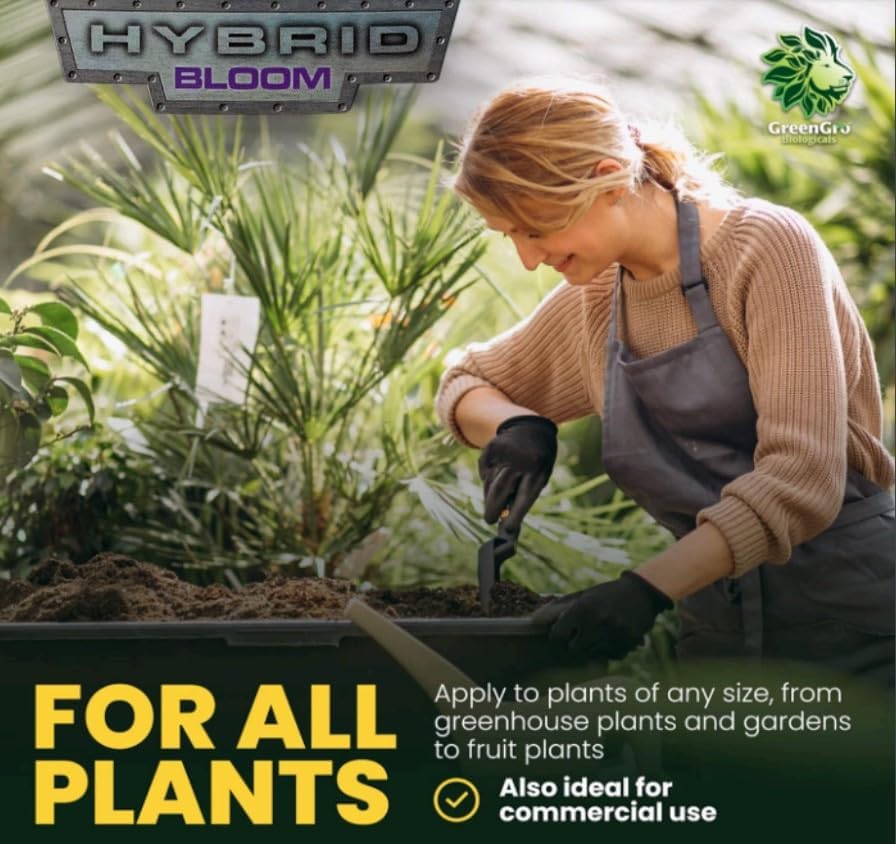 Hybrid Bloom