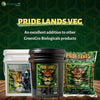 Pride Lands Veg