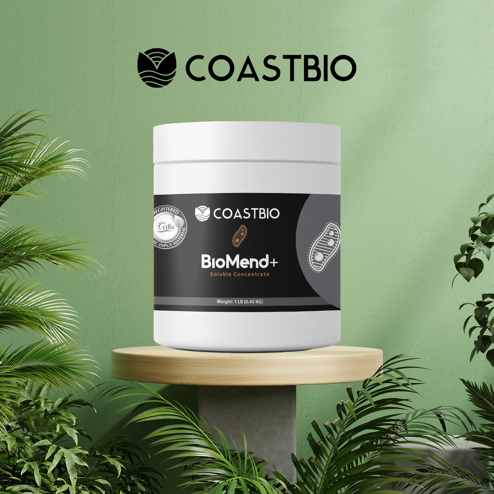 BioMend+