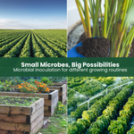 BioMend+ - Beneficial Microbial Inoculant