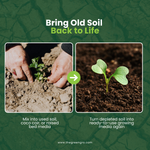 GreenGro Earthshine Biochar - Biochar Soil Amendment