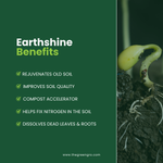 GreenGro Earthshine Biochar - Biochar Soil Amendment