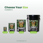 GreenGro Earthshine Biochar - Biochar Soil Amendment
