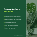 GreenGro Green Aminos - Amino Acid Supplement
