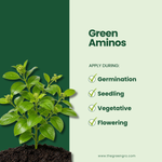GreenGro Green Aminos - Amino Acid Supplement