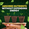 Eco-Garden Essentials Pack