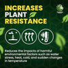 Eco-Garden Essentials Pack