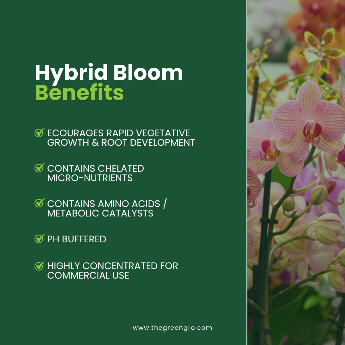 GreenGro Hybrid Bloom - Water-Soluble Flowering Fertilizer