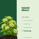 GreenGro Hybrid Bloom - Water-Soluble Flowering Fertilizer