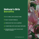 GreenGro Nature's Brix - Carbohydrate Soil Supplement