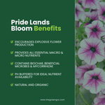 GreenGro Pride Lands Bloom - Flowering Stage Fertilizer