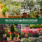 GreenGro Pride Lands Bloom - Flowering Stage Fertilizer