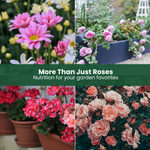 GreenGro Rose & Flower Fertilizer